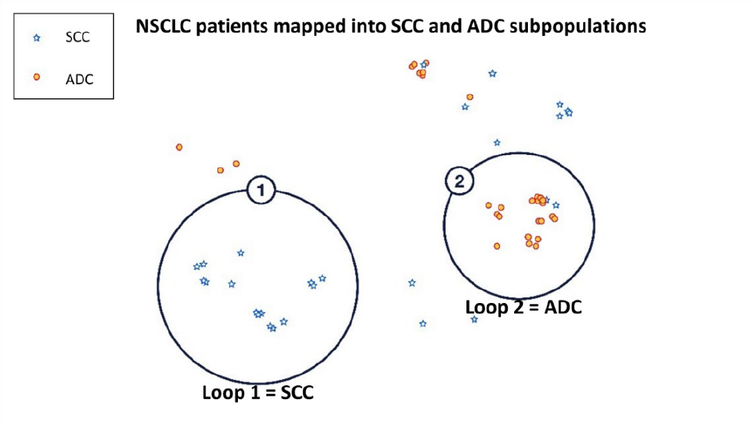 NSCLC-figure1