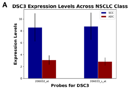NSCLC-figure2A