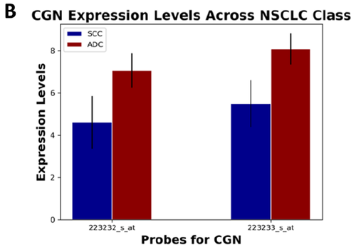 NSCLC-figure2B