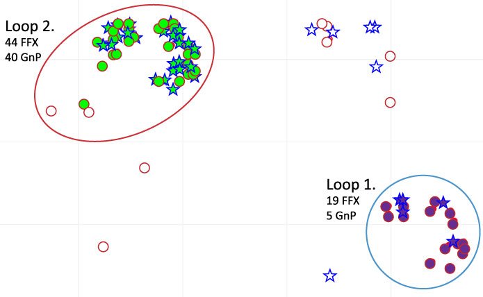 NetraMap5_version2-1