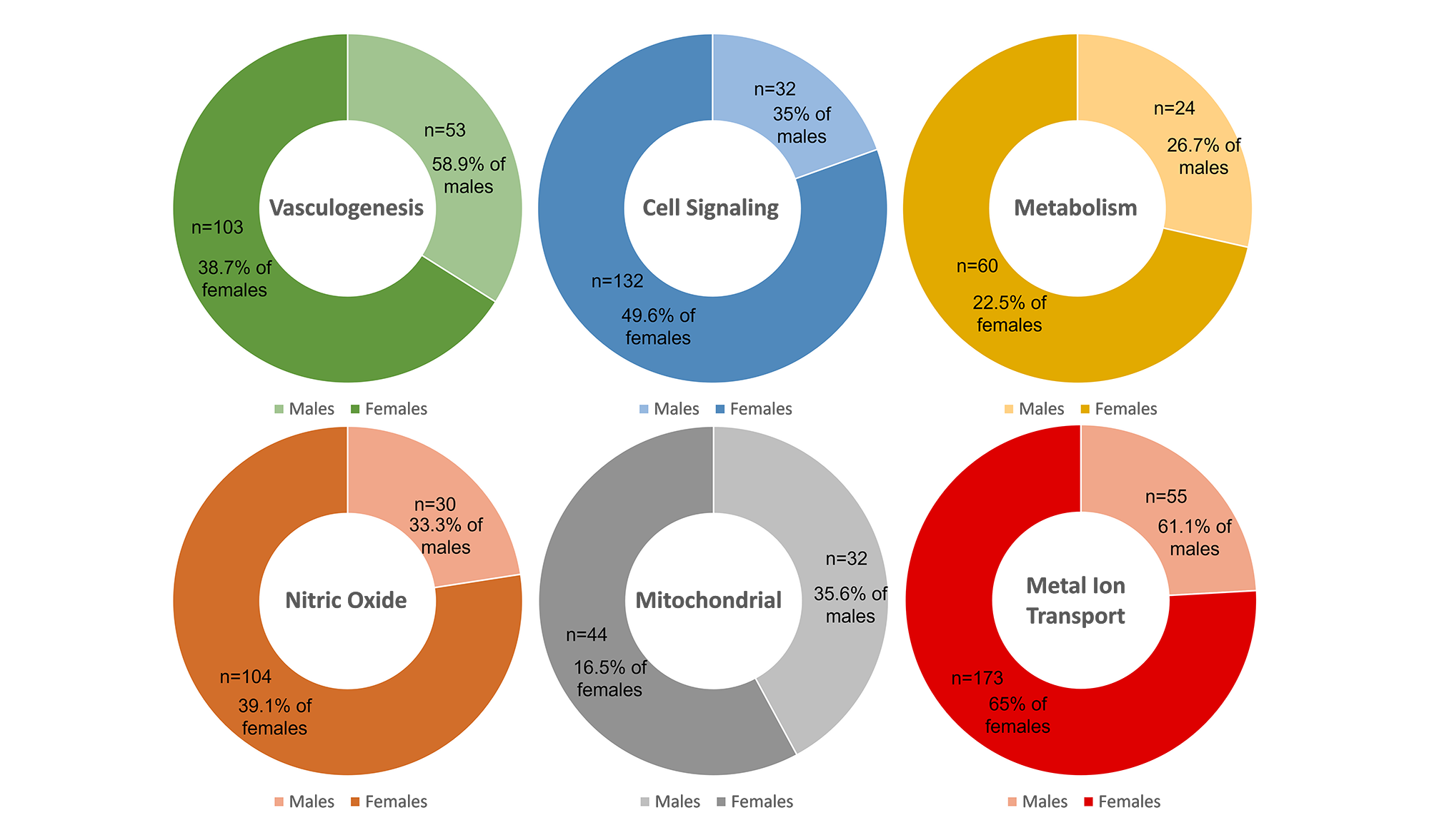 Sex-based differences in AD perspectives