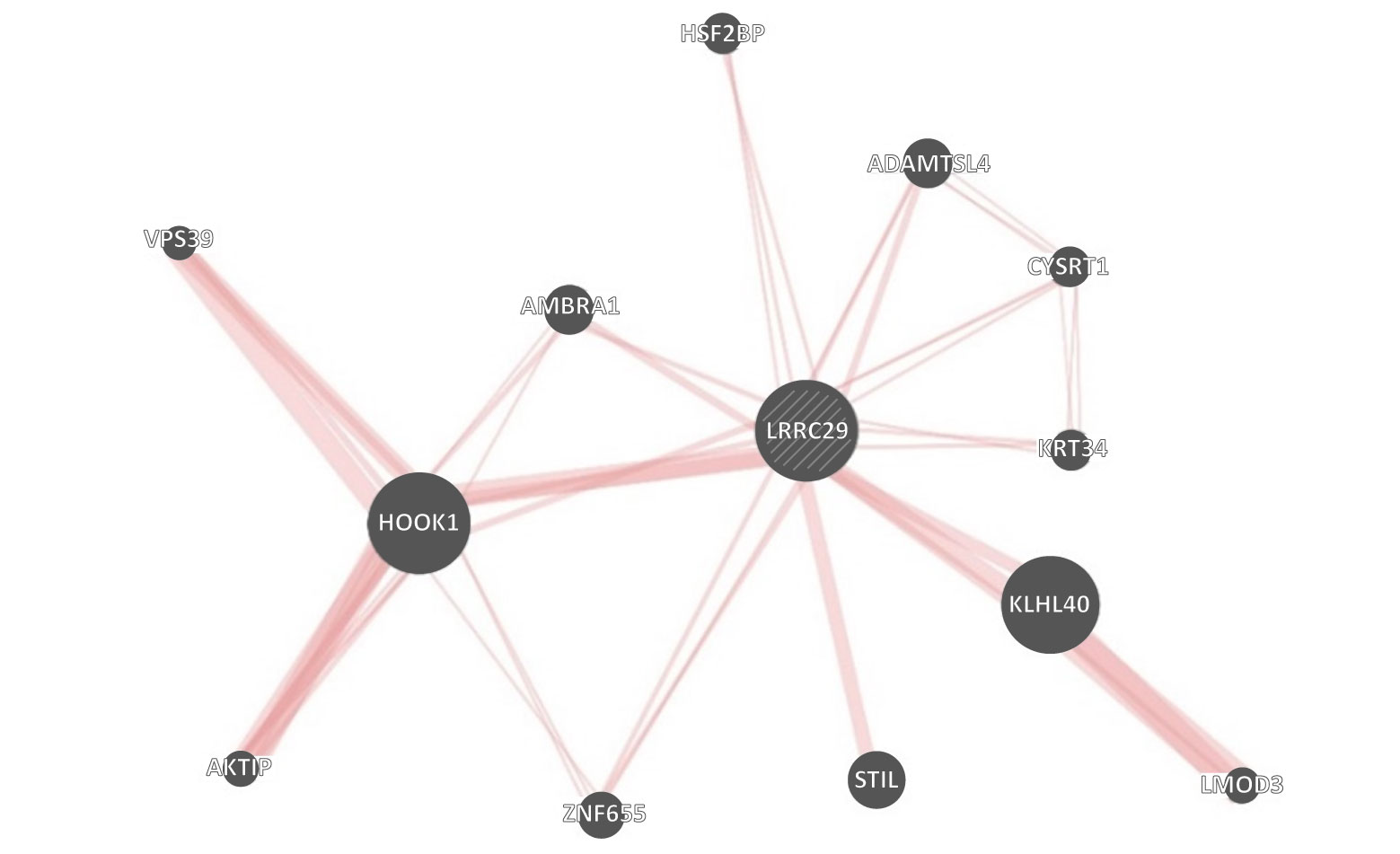 Gene interaction network