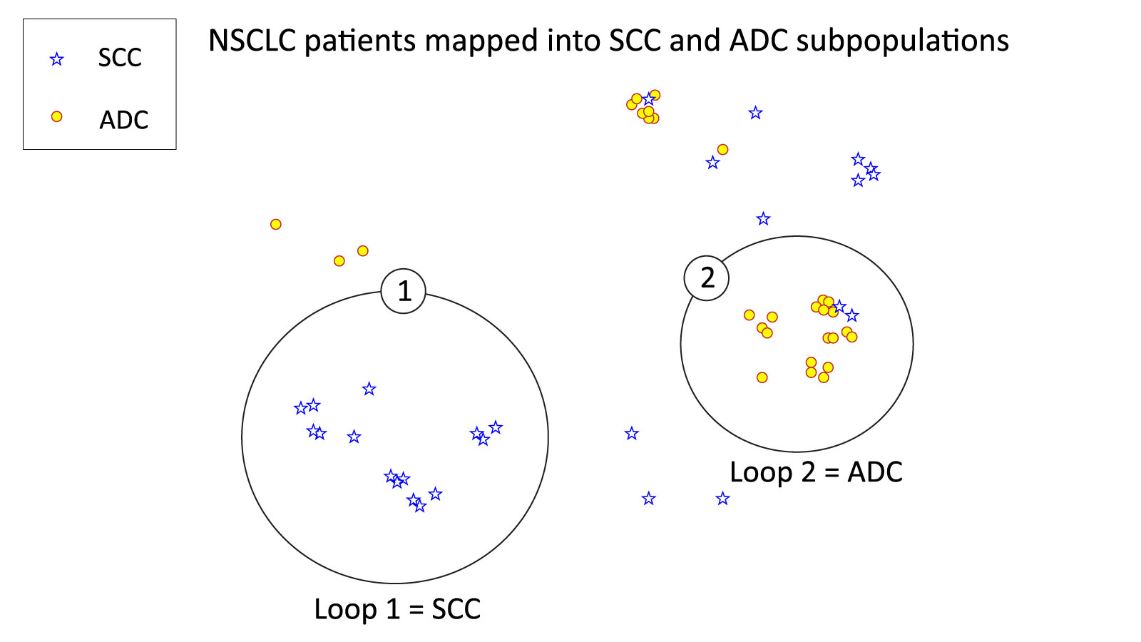 NetraAI NSCLC patient stratification